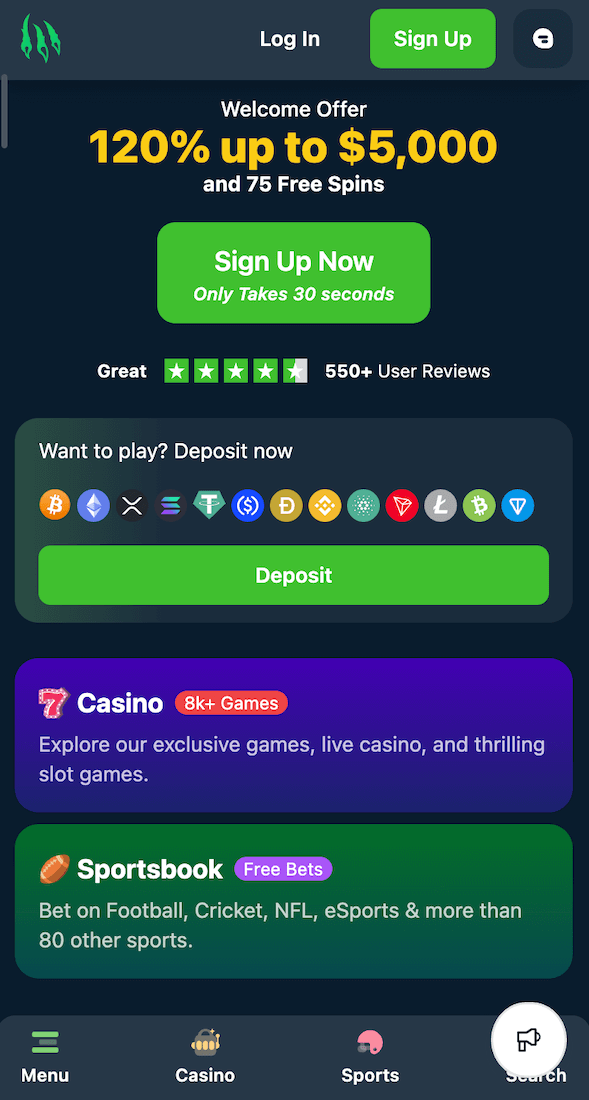 Wild.io webpage