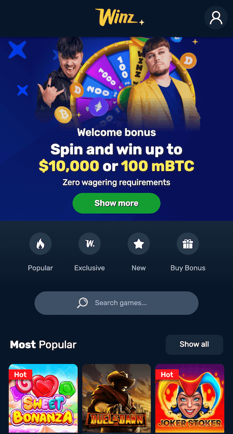 Winz.io website