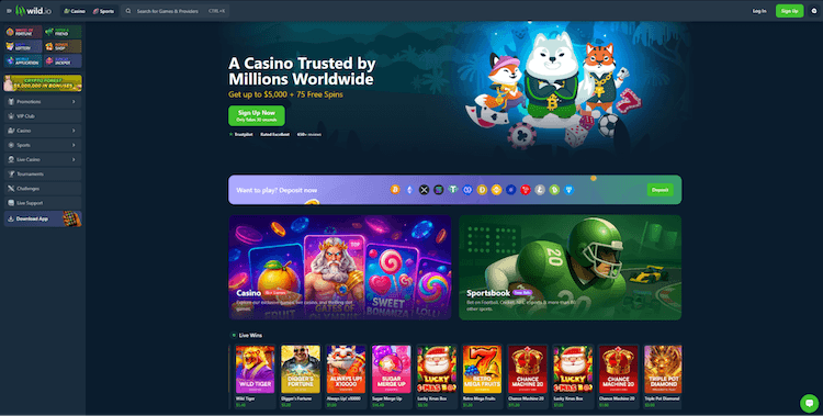 Wild.io hjemmeside