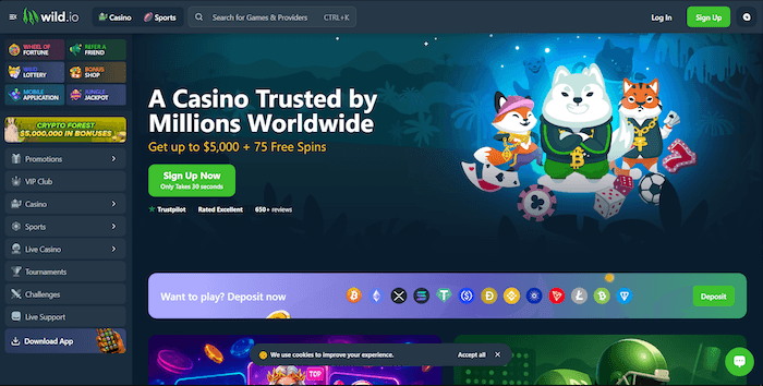 Wild.io hjemmeside